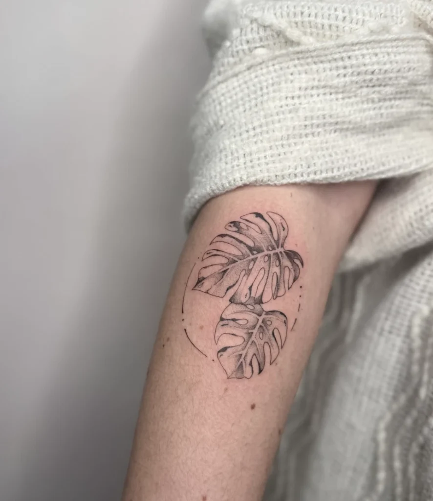 Tatouage de deux feuilles de Monstera réalisées en noir et blanc sur un bras, entourées d'un cercle fin pointillé.