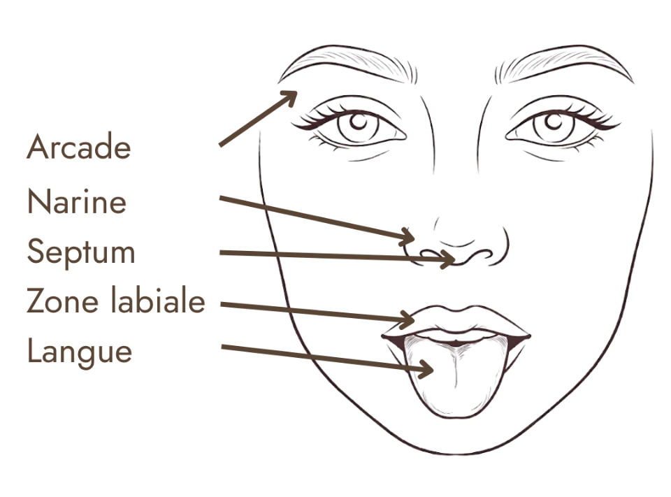 Schéma illustrant les zones du visage où il est possible de réaliser un piercing : arcade, narine, septum, zone labiale et langue.